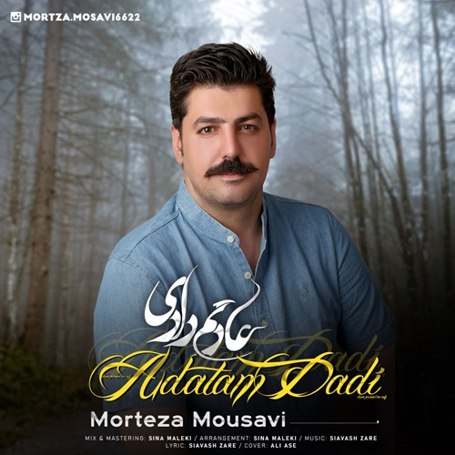 مرتضی موسوی عادتم دادی